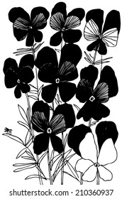 Vector hand drawn illustration with flower viola tricolor.