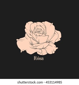 Vector hand drawn illustration of flower. Template for business card, banner, poster, t-shirt, sweatshirt, bag. Rose