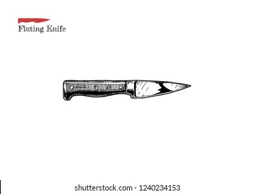 Vector hand drawn illustration of Fluting knife in vintage engraved style. Isolated on white background. Kitchen knives with small blade for decorating and peeling.