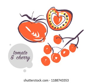 Vector hand drawn illustration of fresh raw tomato vegetable isolated on white background. Sketch style. Healthy food element. Good for menu, banner, packaging design etc.
