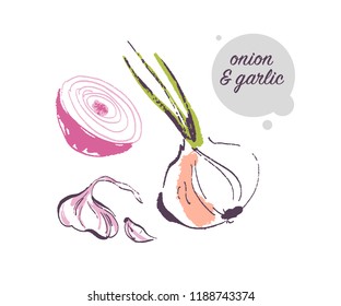 Vector hand drawn illustration of fresh raw onion and garlic spice vegetable isolated on white background. Sketch style. Healthy food element. Good for menu, banner, packaging design etc.