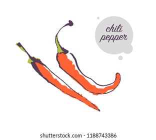 Dibujo a mano vectorial de la verdura fresca de pimienta cruda aislada en fondo blanco. Estilo de esbozo. Elemento alimenticio saludable. Es bueno para el menú, banner, diseño de embalaje, etc.