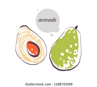 Vector hand drawn illustration of fresh raw avocado vegetable isolated on white background. Sketch style. Healthy food element. Good for menu, banner, packaging design etc.