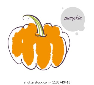 Vector hand drawn illustration of fresh raw pumpkin vegetable isolated on white background. Sketch style. Healthy food element. Good for menu, banner, packaging design etc.