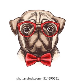 Vector hand drawn illustration of funny little pug in glasses and a bow tie 