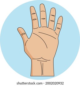 Vector hand drawn illustration of a hand gesture. Fingers Five.