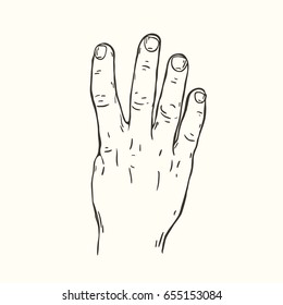 Vector hand drawn illustration of the hand gesture. Four fingers, the back of the hand