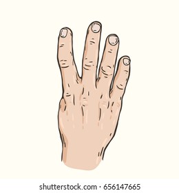 Vector hand drawn illustration of the hand gesture. Four fingers, the back of the hand