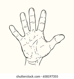 Vector hand drawn illustration of the hand gesture. Five fingers