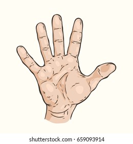 Vector hand drawn illustration of the hand gesture. Five fingers,