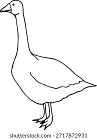 Vector dibujado a mano ilustración de un ganso aislado sobre un fondo blanco.
