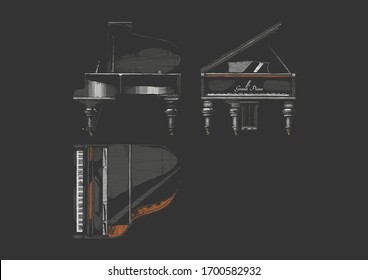 Vector hand drawn illustration of Grand Piano in Vintage engraved style. Top, front, right side views.