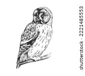Vector hand drawn illustration with Great Gray Owl isolated on white. Sketch with wild bird in engraving style.