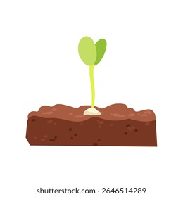 Vector Hand drawn illustration of Growing sprout in soil, green silhouette of little plant leaf, concept of plant growth, healthy food, eco earth care, biology educational purposes, spring gardening
