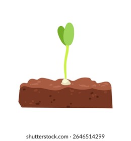 Vector Hand drawn illustration of Growing sprout in soil, green silhouette of little plant leaf, concept of plant growth, healthy food, eco nature care, biology educational purposes, spring gardening