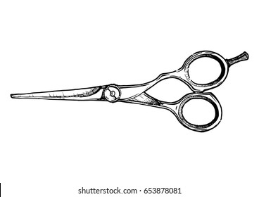 Vector hand drawn illustration of hair-cutting shears in vintage engraved style. isolated on white background. Black and white scissors