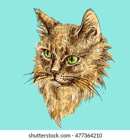 Vector hand drawn illustration head of cat. Boho style poster. Ink sketch drawing of animal.