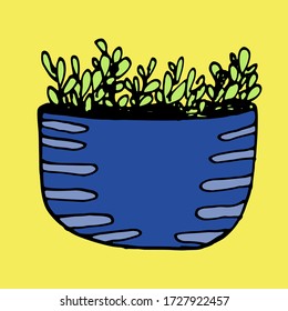 Vector hand drawn illustration of herbs. Green houseplant in the pot. Home interior decoration. Gardening plant