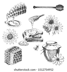 vector hand drawn illustration of honey. sketch of honeycomb, stick, jar, bee. flat lay ink doodle of sweet organic elements. restaurant design template
