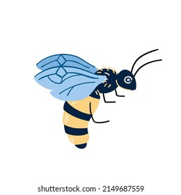 Vector hand drawn illustration of honey bee on white background