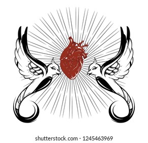 Vector hand drawn illustration of human heart with burds isolated . Creative tattoo artwork. Template for card, poster, banner, print for t-shirt, pin, badge, patch.