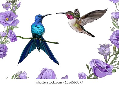 Vector hand drawn Illustration of Humming bird and tropical flowers. Colorful hummingbirds isolated on white background. Trochilidae. Template for your design, greeting cards, posters. 