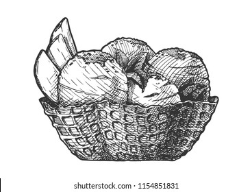 Vector hand drawn illustration of Ice Cream served in waffle bowl. In vintage engraved style. Isolated on white background. 