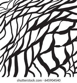 Vector hand drawn illustration with ink texture. Hand drawn pencil textures with decorative spiderweb. Charcoal black and white vector textures. Hand drawn graphic background, poster, card, postcard.