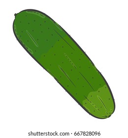 Vector hand drawn illustration. Isolated cucumber. Detailed vegetarian food drawing. Farm market product.
