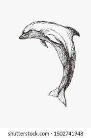 Vector hand drawn illustration of jumping dolphin isolated on white. Sketch of wild sea animal for print on clothes. Underwater world.