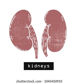 Vector hand drawn illustration. kidneys body. Idea for poster, postcard, design.