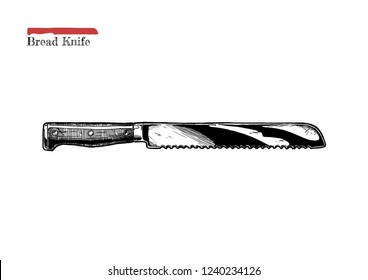 Vector hand drawn illustration of Kitchen Bread Knife in vintage engraved style. Isolated on white background. 