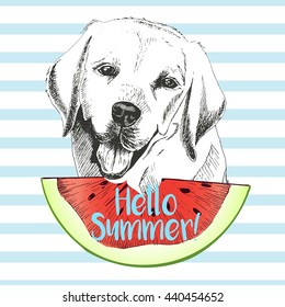 Vector hand drawn illustration of  labrador retriever dog eating the watermelon slice. Hello summer. Isolated on light blue strips. fresh fashion vibrant summer poster.