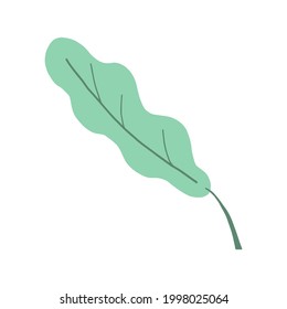 Vector hand drawn illustration the leaf of the plant, doodle