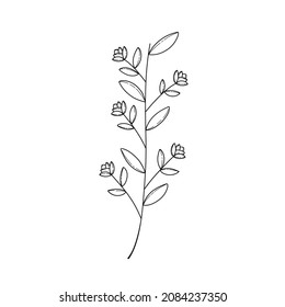 Vector hand drawn illustration of leaves 
