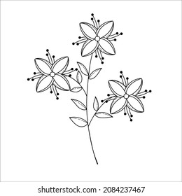 Vector hand drawn illustration of leaves 