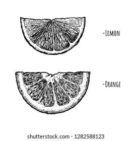 Vector hand drawn illustration of Lemon and orange wedges in vintage engraved style. isolated on white background.