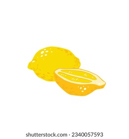 Vector hand drawn vector illustration of a lemon and a cut lemon.
