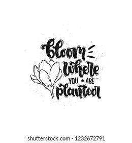 Vector hand drawn illustration. Lettering phrases Bloom where you are planted. Idea for poster, postcard.