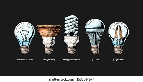 Vector hand drawn illustration of the light bulb evolution set. incandescent lightbulb, tungsten halogen, Energy-saving light, LED lamp and light-emitting diode filament. Isolated on black background.