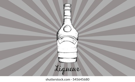 Vector hand drawn illustration of liqueur bottle. Vintage style 