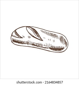 Vector hand drawn illustration of loaf of bread. Brown and white drawing isolated on white background. Sketch icon and bakery element for print, web, mobile and infographics.