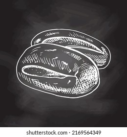 Vector hand drawn illustration of loaf of bread, baguette. White sketch isolated on black chalkboard.  Sketch icon and bakery element for print, web, mobile and infographics.