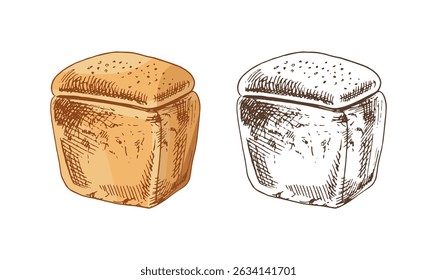 Vector hand drawn illustration of loaf of bread. Brown and white  bread drawing isolated on white background. Sketch icon and bakery element for print, web, mobile and infographics.