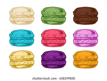 Vector hand drawn illustration of macarons in vintage engraved style.