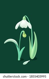Vector hand drawn illustration materials of lily of the valley Narcissus