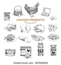 Vector hand drawn Illustration with meat products. Chicken. Sketch. Vintage style. Retro background. 