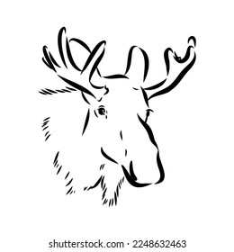 Vector hand drawn illustration of a moose isolated on a white background. A sketch of animal in engraving style.