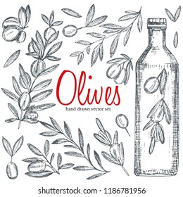 Vector hand drawn  illustration of olive branches with olive fruits and bottles of olive oil with herbs.Monochrome , sketched retro style. 