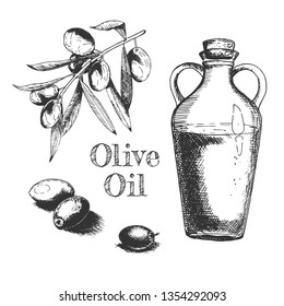 Vector hand drawn illustration of olives fruit, tree branch with leaves, transparent glass oil bottle and concept lettering in vintage engraved style. Isolated on white background.